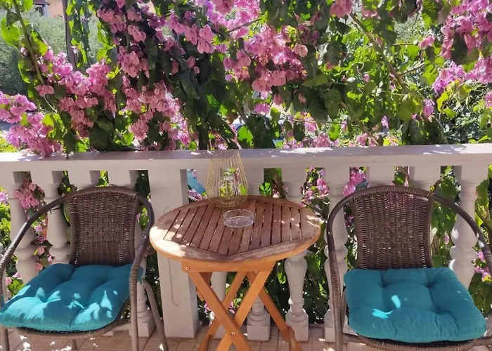 Toto Apartments Zadar