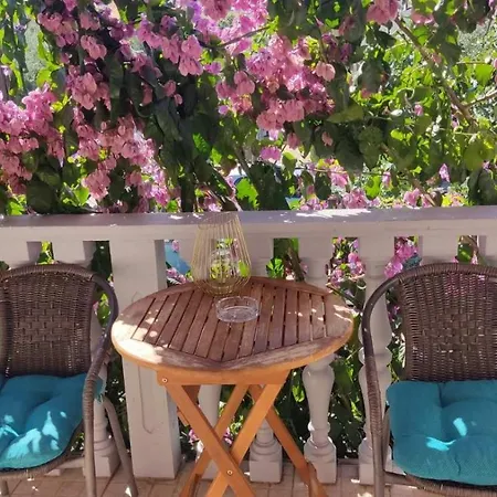 Toto Apartments Zadar Exterior foto