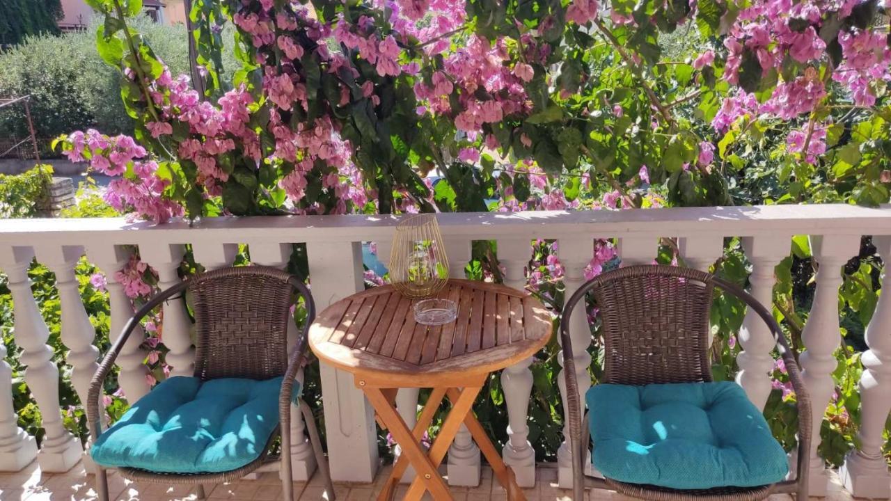 Apartment Toto Zadar